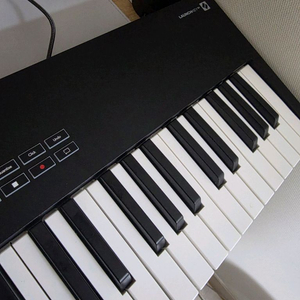 노베이션 61미디 마스터 건반입니다실사용 3회 미만이고