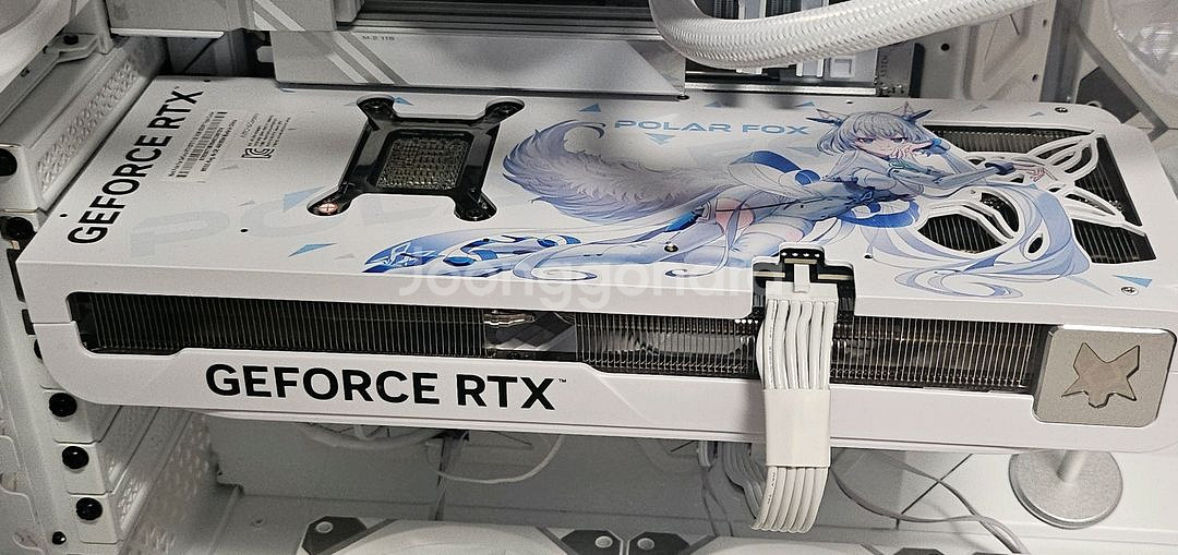 5070ti 폴라폭스--1