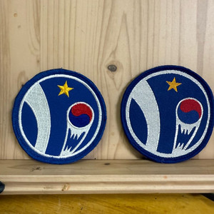 미국 공군 제10 전술 전투비행대대 패치 2장,개당