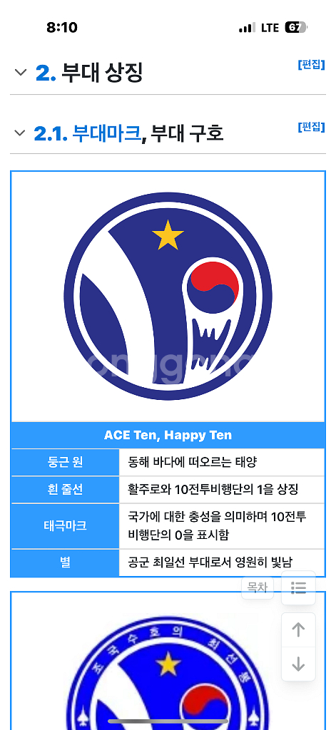 미국 공군 제10 전술 전투비행대대 패치 2장,개당--3