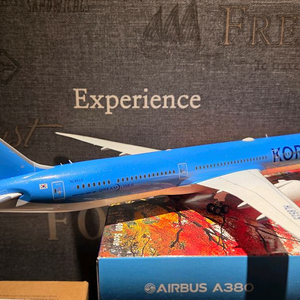 Korean Airlines B787-10