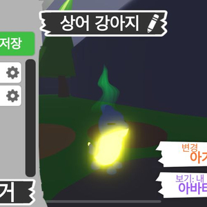 입양하세요 메가 상어강아지 팝니다