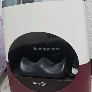 발란스핏 프로 발맛사지기