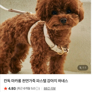 강아지 하네스 여러개 팝니다