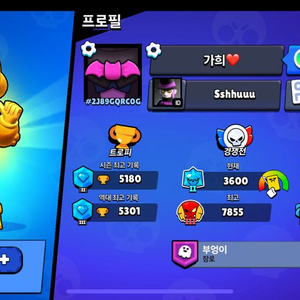 브롤 계정
