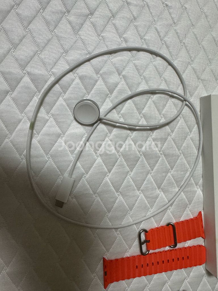 애플워치 울트라2 오션밴드 알파인루프--8