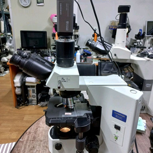 올림프스 BX41 3안위상차현미경 싸게판매합니다