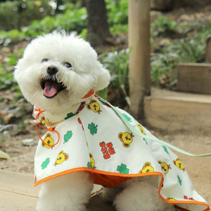 강이지 우비 XL