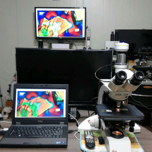 라이카 3안CCD 분석용 편광현미경 싸게판매합니다