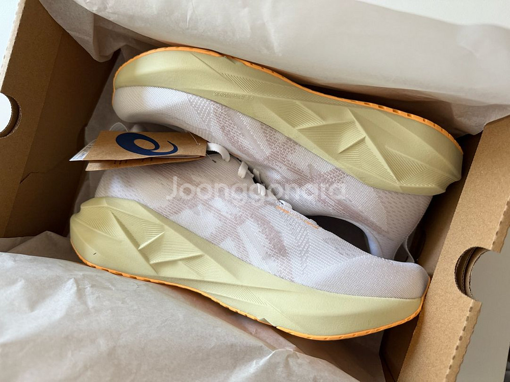 아식스 노바블라스트 5 화이트 펀--0