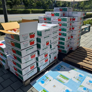 홍로사과 중과 5kg