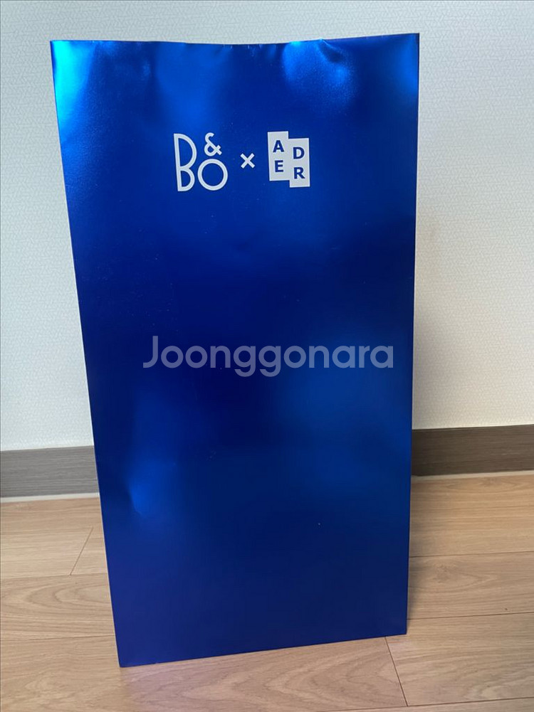 뱅앤올룹슨 아더에러 콜라보 스피커 A1--0