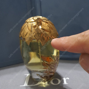 LOR de TORRENET edp 50ml 향수