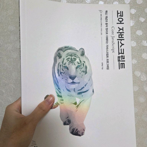 코어 자바스크립트 새책