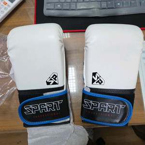 복싱 스파트 백글러브