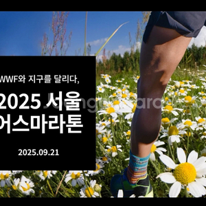 2025 서울 어스 마라톤 하프 C 그룹 양도 합니다