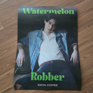 변우석 이디야 워터멜론 브로마이드 포스터+ 포토카드