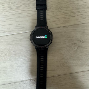 어메이즈핏 티렉스2