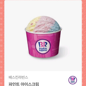 배스킨라빈스 파인트 베스킨라빈스 파인트 베라 배라파인트