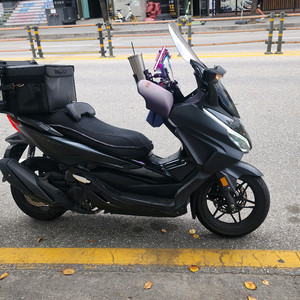 포르자350 24년식