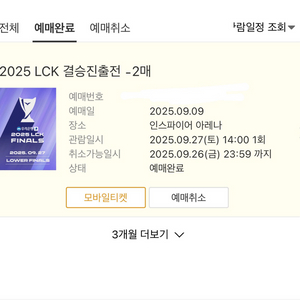 lck 결승진출전 210구역 단석