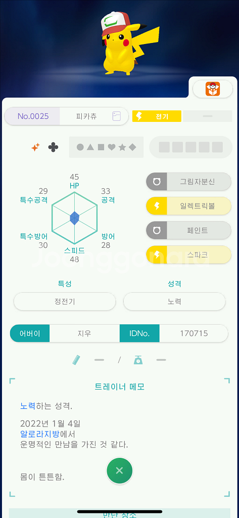 이로치 지우 피카츄/포켓몬/닌텐도 스위치--0