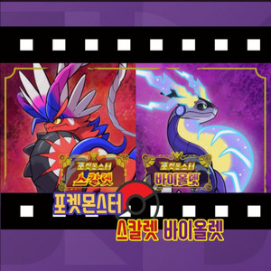 포켓몬 아르세우스,소드or실드,바이올렛or스칼렛 삽니다