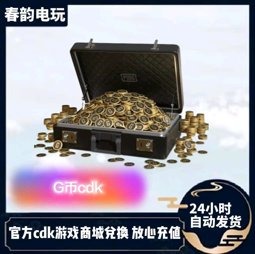 배그 코인 (95) 사진