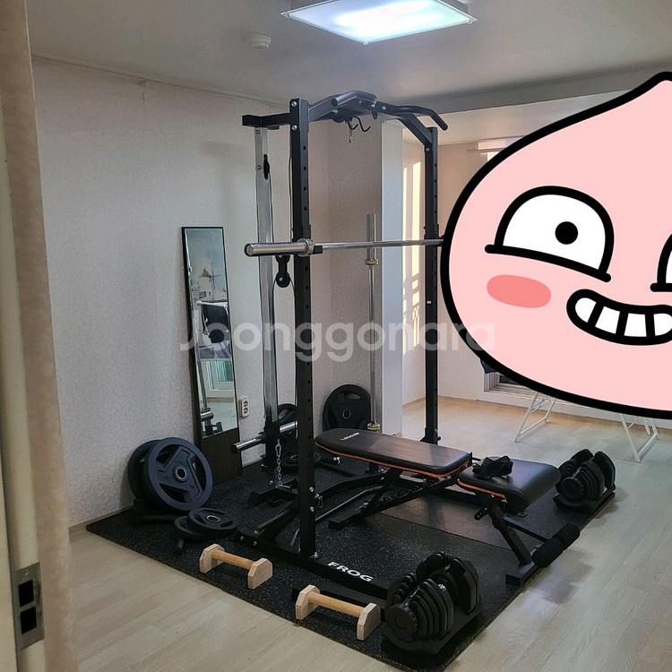 홈짐 판매합니다--1