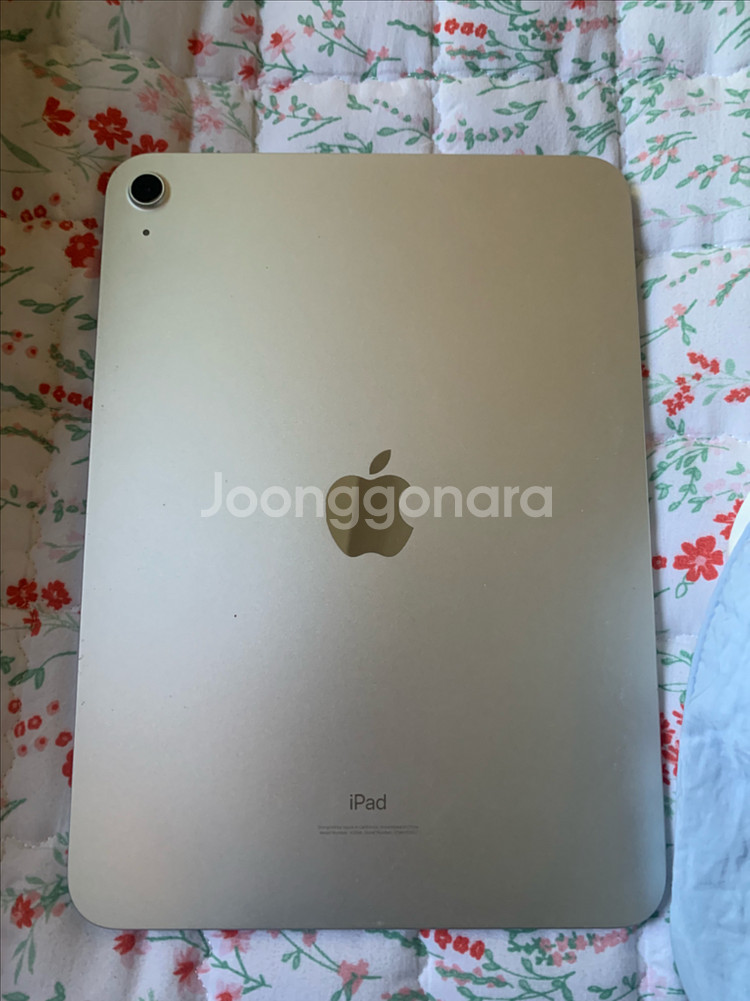 아이페드 10세대--1