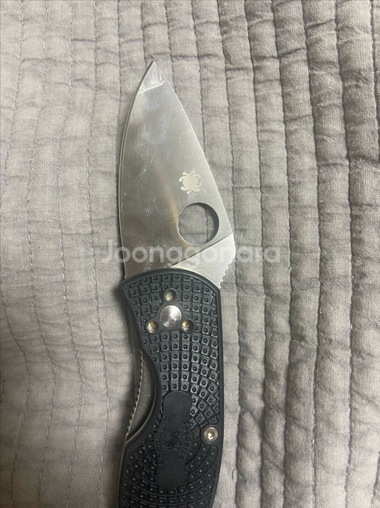 스파이더코 앰비셔스 팝니다--1