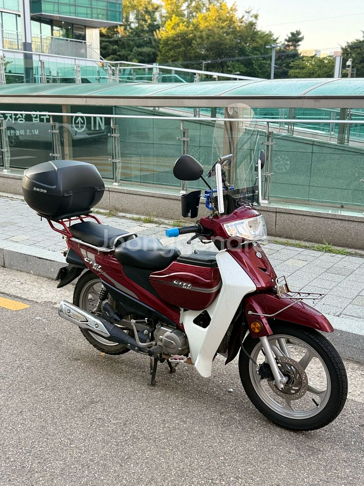 씨티 베스트 115--0