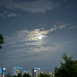 아이폰15 프로 케이스티파이 판매합니다.
