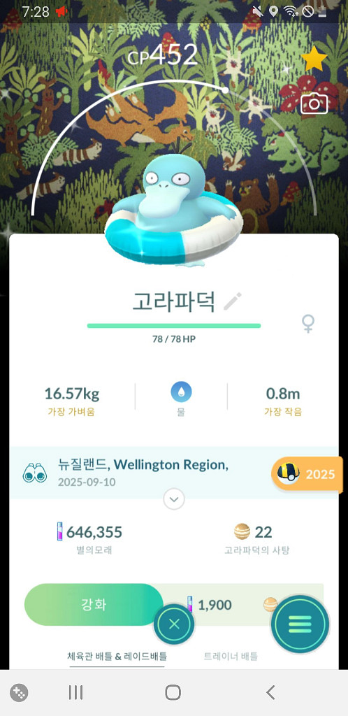 포켓몬고 이로치 배경 고라파덕 판매--0