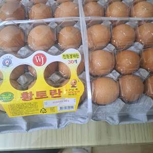 싱싱계란 한판