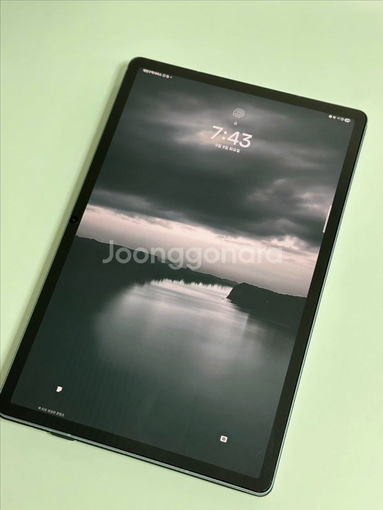 갤럭시탭 s10+ 플러스 5G 256GB, 정품북커버--10