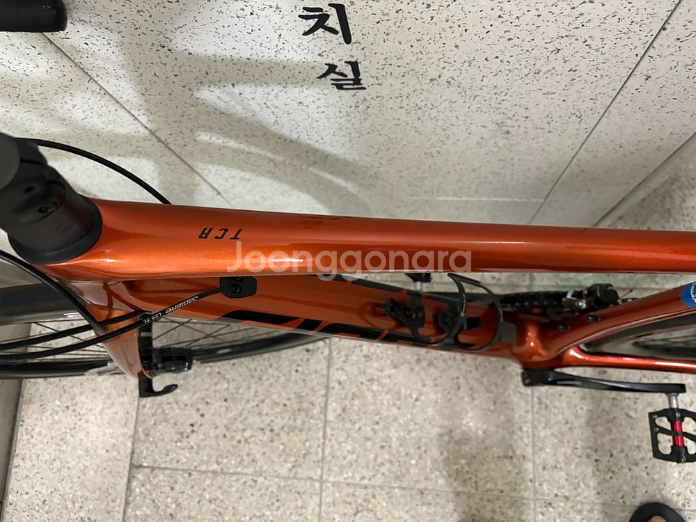 자이언트 Tcr어드밴스1 프로--2