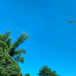 구글 컨텐츠 이용 72퍼 구매