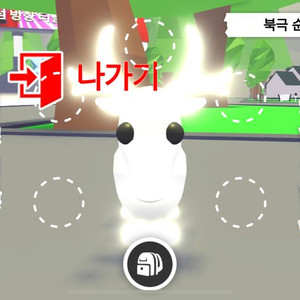 입양하세요 네온 날타 흰순록 팔아요