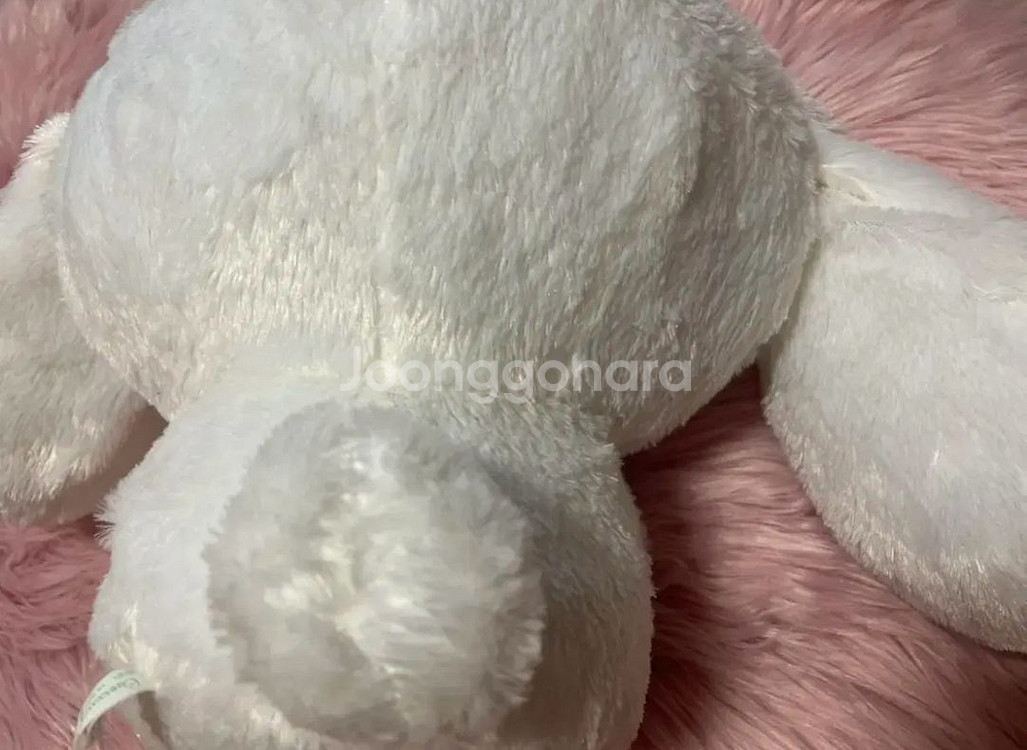 대형 시나모롤 곰돌이 대형인형 산리오 빅인형 시나모롤--1