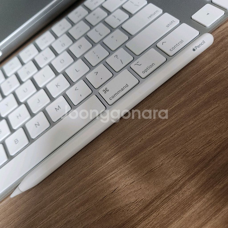 Apple Pencil 2 애플 펜슬 2--2
