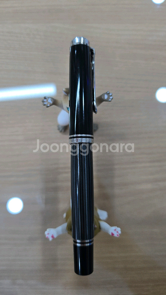 만년필 펠리칸 M805 슈트레제만 F--1