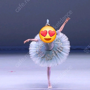 발레의상 파랑새