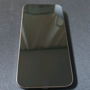 자급제 iPhone 16 Pro Max 256 데저트