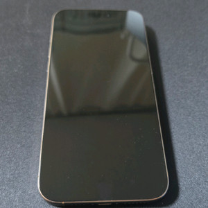 자급제 iPhone 16 Pro Max 256 데저트