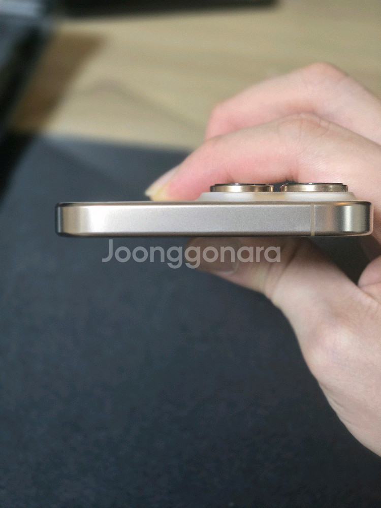자급제 iPhone 16 Pro Max 256 데저트--3