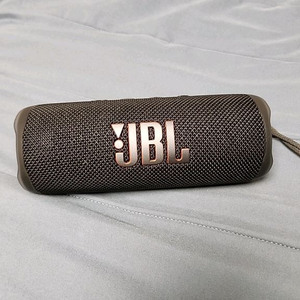 JBL 플립6