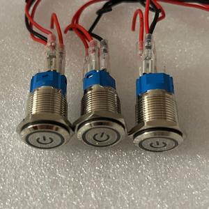 금속 푸쉬 전원버튼 (Blue LED, 12v)