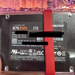 삼성 870evo 2Tb