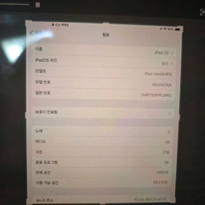 아이패드 미니 256